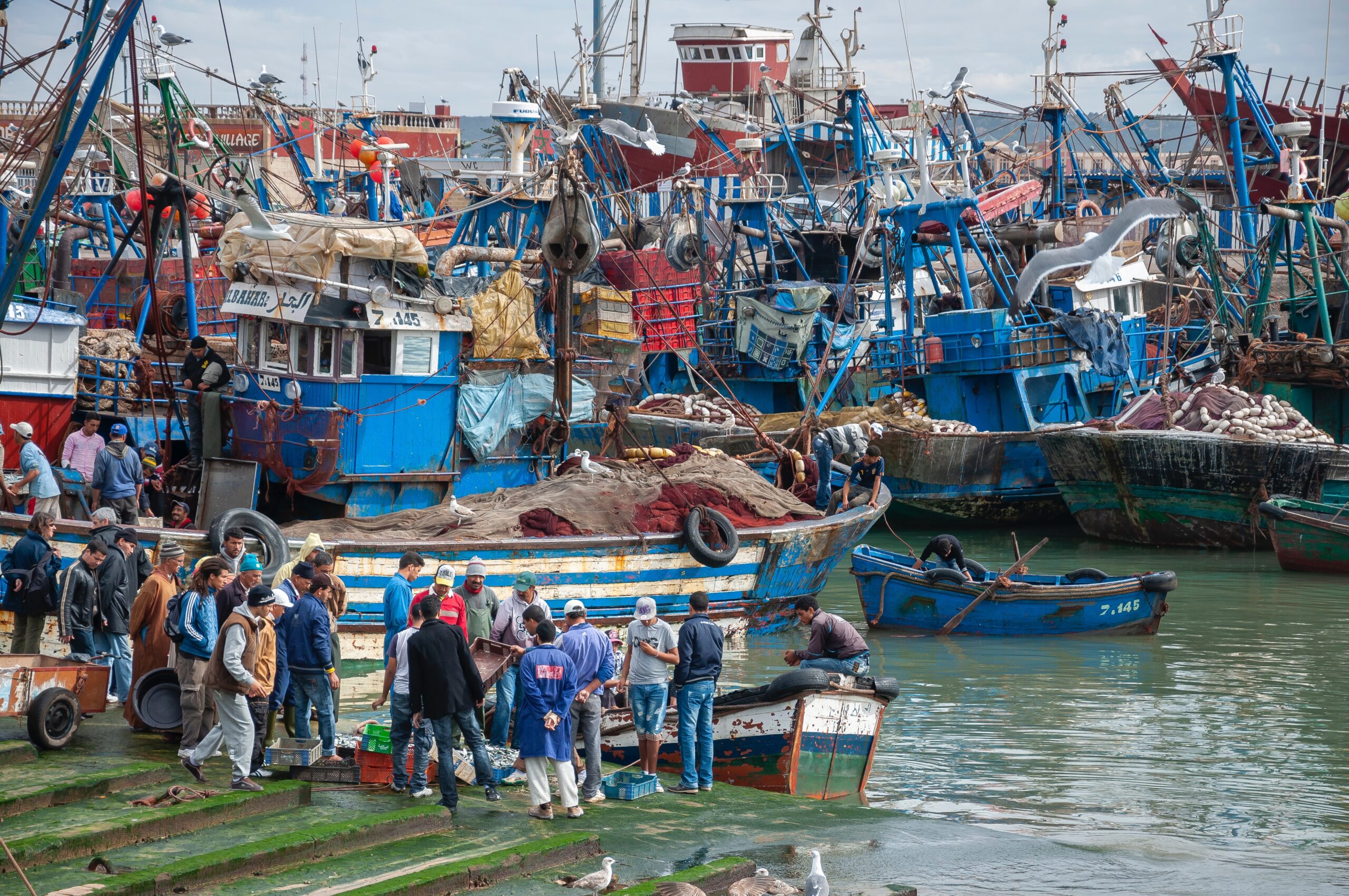 One Day Trip To Essaouira From Marrakech