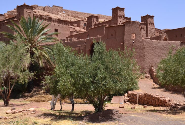 8 Days Tour From Fes – Desert – Mountains – Marrakech.